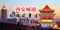 大鸡巴操逼真爽视频中国陕西-西安城墙旅游风景区