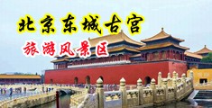 插舔日中国北京-东城古宫旅游风景区